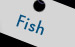 Fish in Area